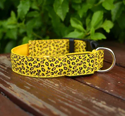 Collare LED per cani con leopardo in nylon