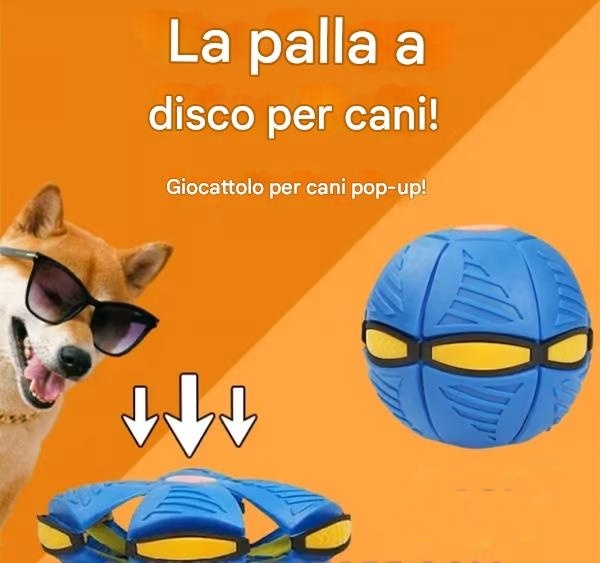 💥Palla Frisbee per Cuccioli💞
