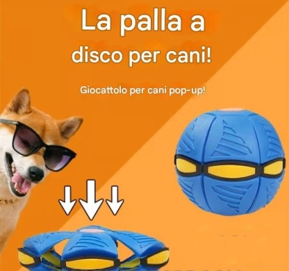 💥Palla Frisbee per Cuccioli💞