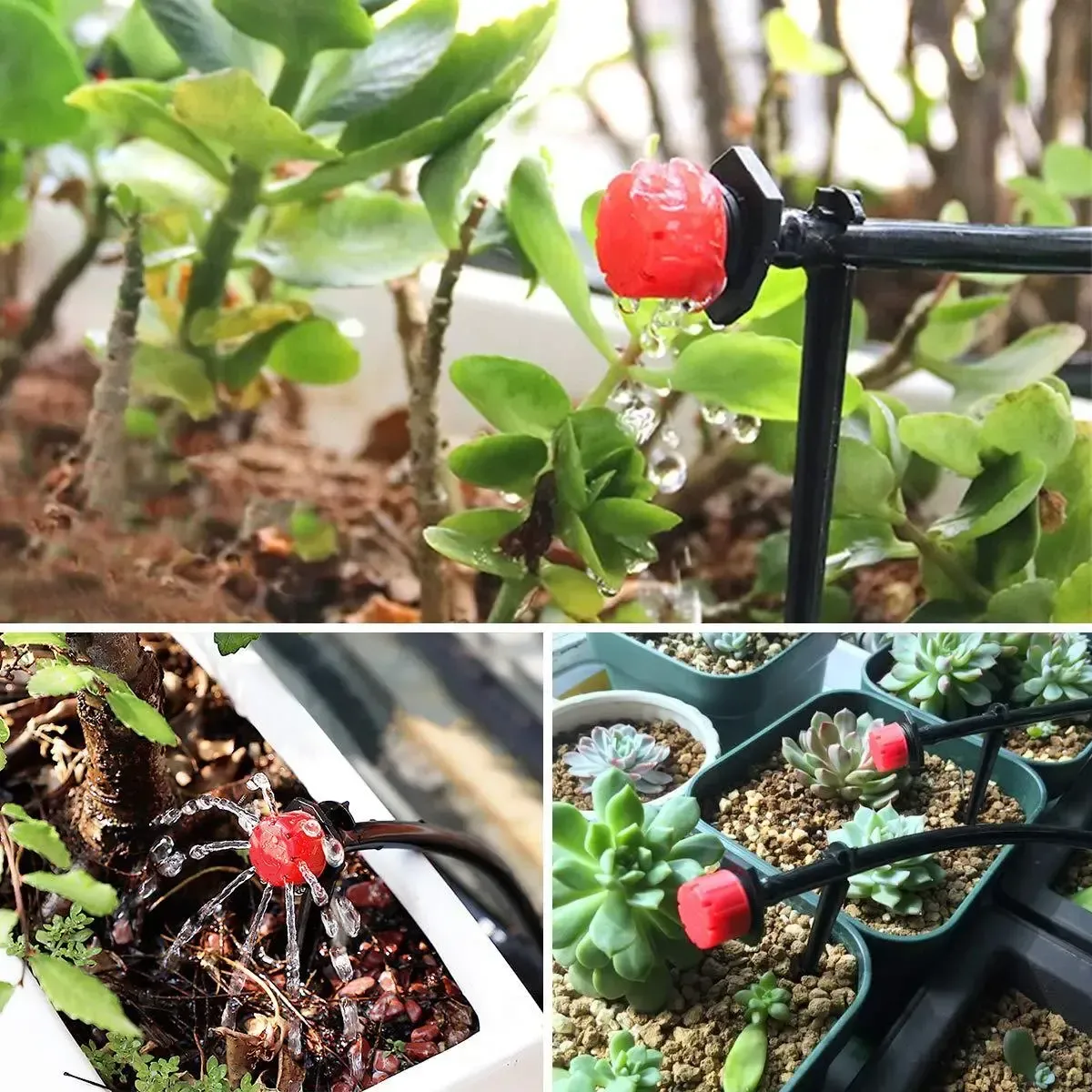 【Acquista 100 e ricevi 100 gratis】【50/100/150/200 pezzi】Irrigatore per irrigazione a flusso d'acqua regolabile a 8 fori