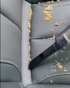 使用 Clipchamp 制作的无标题视频-1.gif