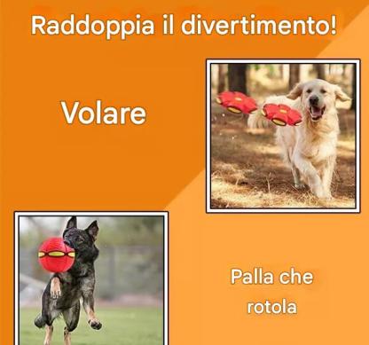 💥Palla Frisbee per Cuccioli💞