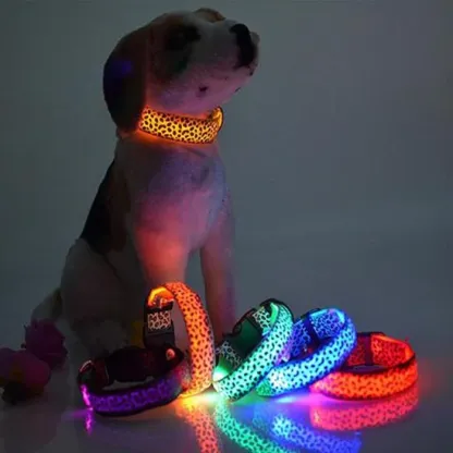 Collare LED per cani con leopardo in nylon