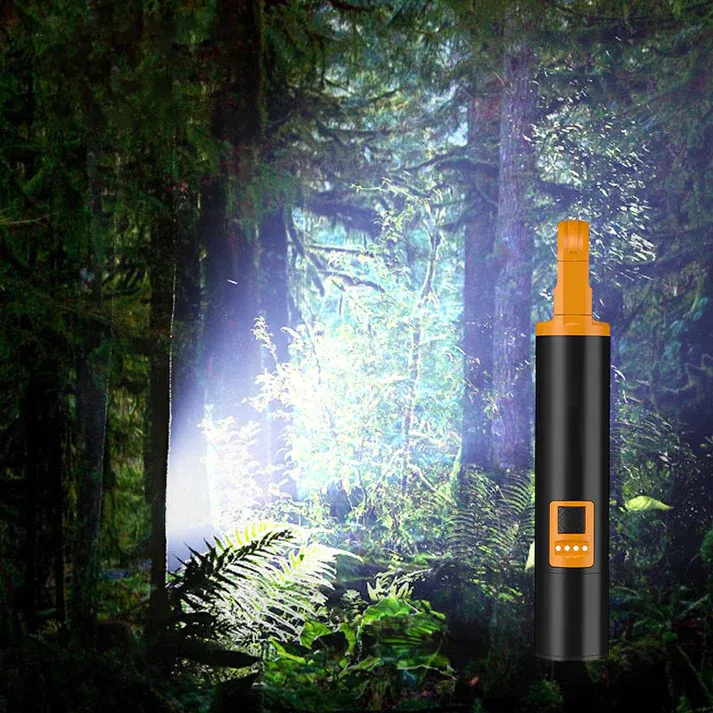 💥Vendita calda💥 Torcia portatile ad alta luminosità
