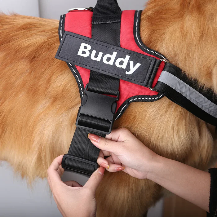 Pettorina anti-tiro per cani