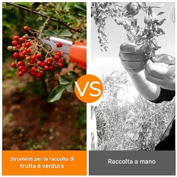 🔥Promozione a tempo limitato ⏰ Ultimo giorno di sconto del 49% - Forbici da potatura professionali per la raccolta di frutta e verdura. Nuovi utensili con gancio affilato per la raccolta di frutta e verdura.