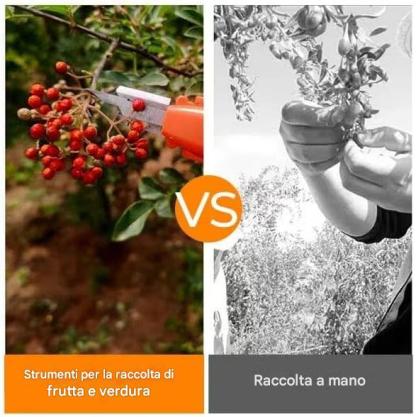 🔥Promozione a tempo limitato ⏰ Ultimo giorno di sconto del 49% - Forbici da potatura professionali per la raccolta di frutta e verdura. Nuovi utensili con gancio affilato per la raccolta di frutta e verdura.