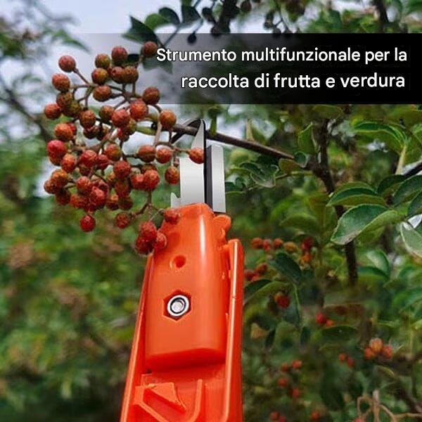 🔥Promozione a tempo limitato ⏰ Ultimo giorno di sconto del 49% - Forbici da potatura professionali per la raccolta di frutta e verdura. Nuovi utensili con gancio affilato per la raccolta di frutta e verdura.