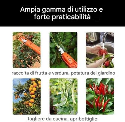 🔥Promozione a tempo limitato ⏰ Ultimo giorno di sconto del 49% - Forbici da potatura professionali per la raccolta di frutta e verdura. Nuovi utensili con gancio affilato per la raccolta di frutta e verdura.