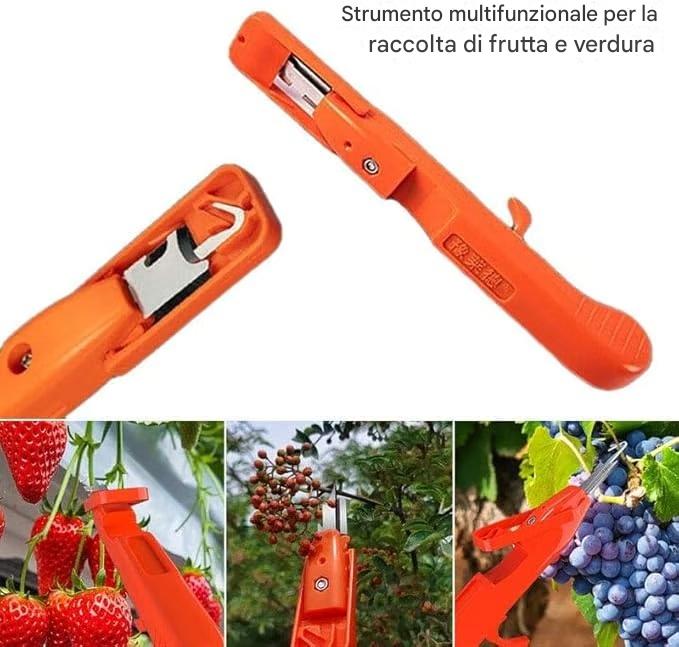 🔥Promozione a tempo limitato ⏰ Ultimo giorno di sconto del 49% - Forbici da potatura professionali per la raccolta di frutta e verdura. Nuovi utensili con gancio affilato per la raccolta di frutta e verdura.