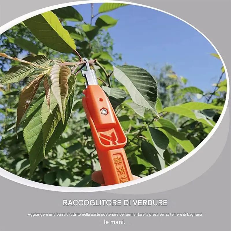 🔥Promozione a tempo limitato ⏰ Ultimo giorno di sconto del 49% - Forbici da potatura professionali per la raccolta di frutta e verdura. Nuovi utensili con gancio affilato per la raccolta di frutta e verdura.