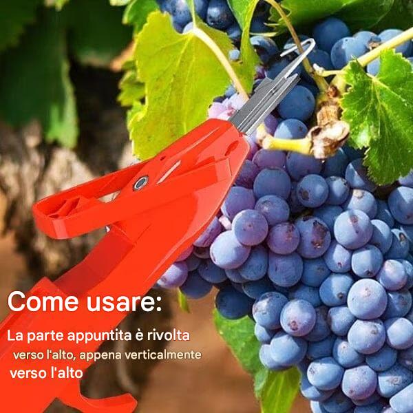 🔥Promozione a tempo limitato ⏰ Ultimo giorno di sconto del 49% - Forbici da potatura professionali per la raccolta di frutta e verdura. Nuovi utensili con gancio affilato per la raccolta di frutta e verdura.
