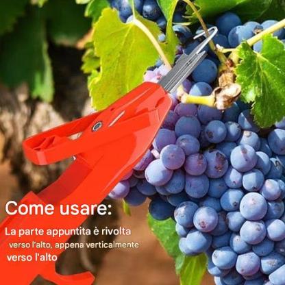 🔥Promozione a tempo limitato ⏰ Ultimo giorno di sconto del 49% - Forbici da potatura professionali per la raccolta di frutta e verdura. Nuovi utensili con gancio affilato per la raccolta di frutta e verdura.
