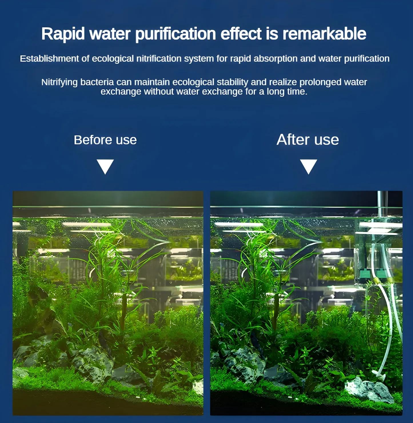 【4/6/15/20/25W】Filtro elettrico silenzioso per acquario