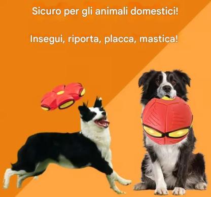 💥Palla Frisbee per Cuccioli💞