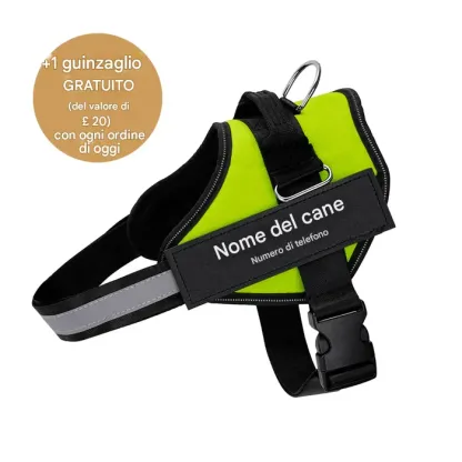 Pettorina anti-tiro per cani