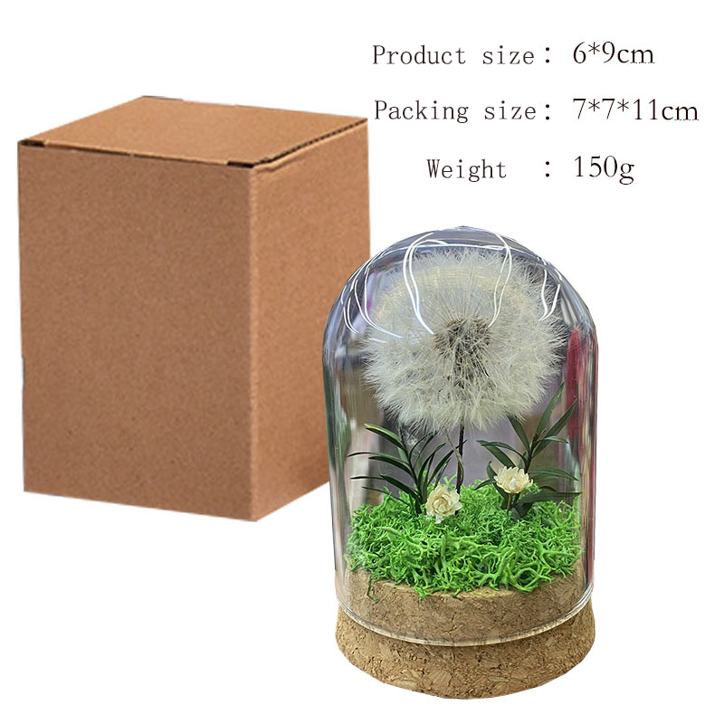 Custom Engraved Text Eternal Dandelion Glass Dome Personalized Gift-larkway tradelink