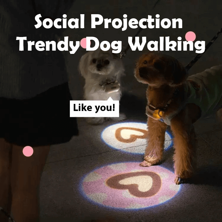 Customized Pet Social Projection Lamp Personalized Collar Tag LED Lamp Night Anti Lost Dog Walking Lamp-larkway tradelink