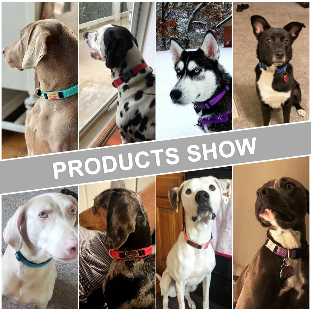 Custom Engraved Dog Collar Personalized Nylon Name ID for Pet-larkway tradelink