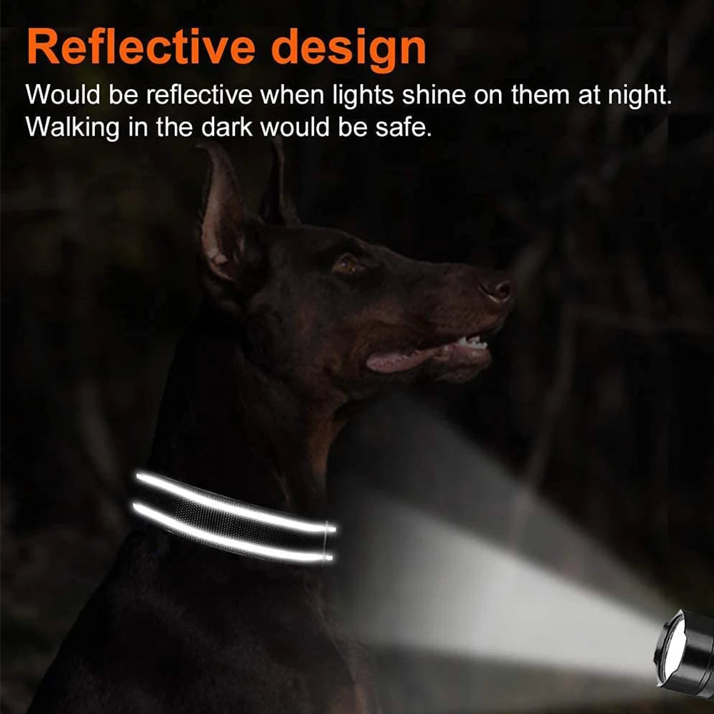 Custom Engraved Dog Collar Personalized Nylon Name ID for Pet-larkway tradelink