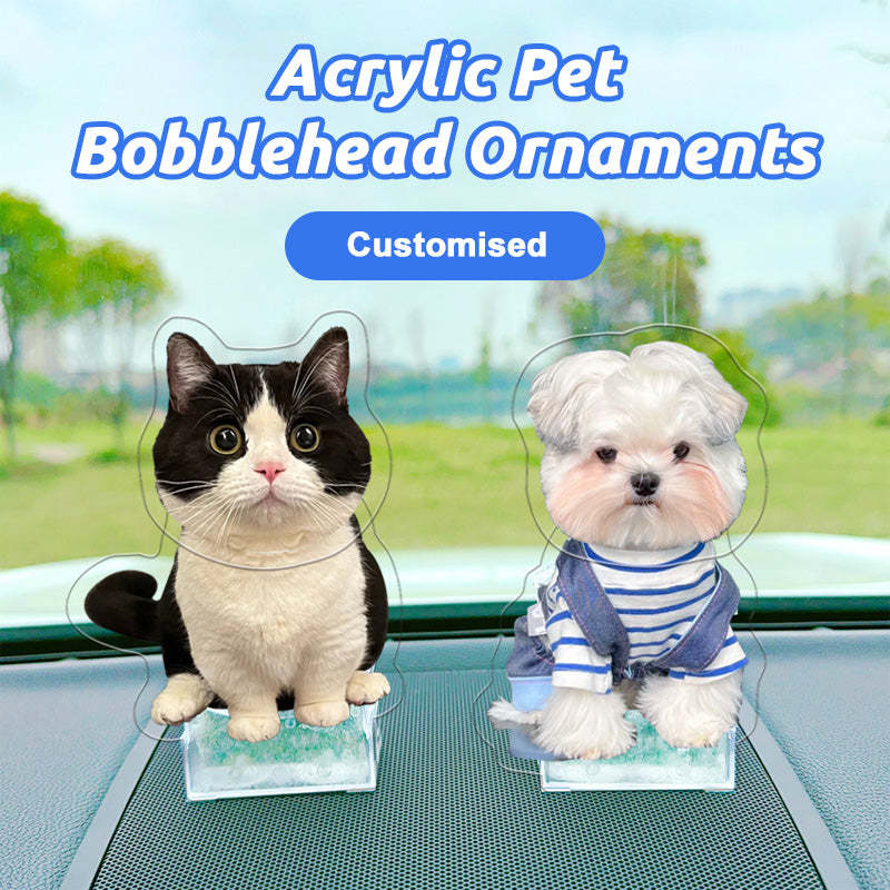 Personalized Bobblehead Acrylic Stand Custom Pet Photo Car Decoration Attractive Gift for Pet Lover
