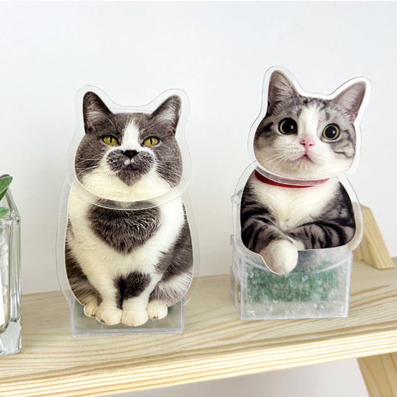 Personalized Bobblehead Acrylic Stand Custom Pet Photo Car Decoration Attractive Gift for Pet Lover