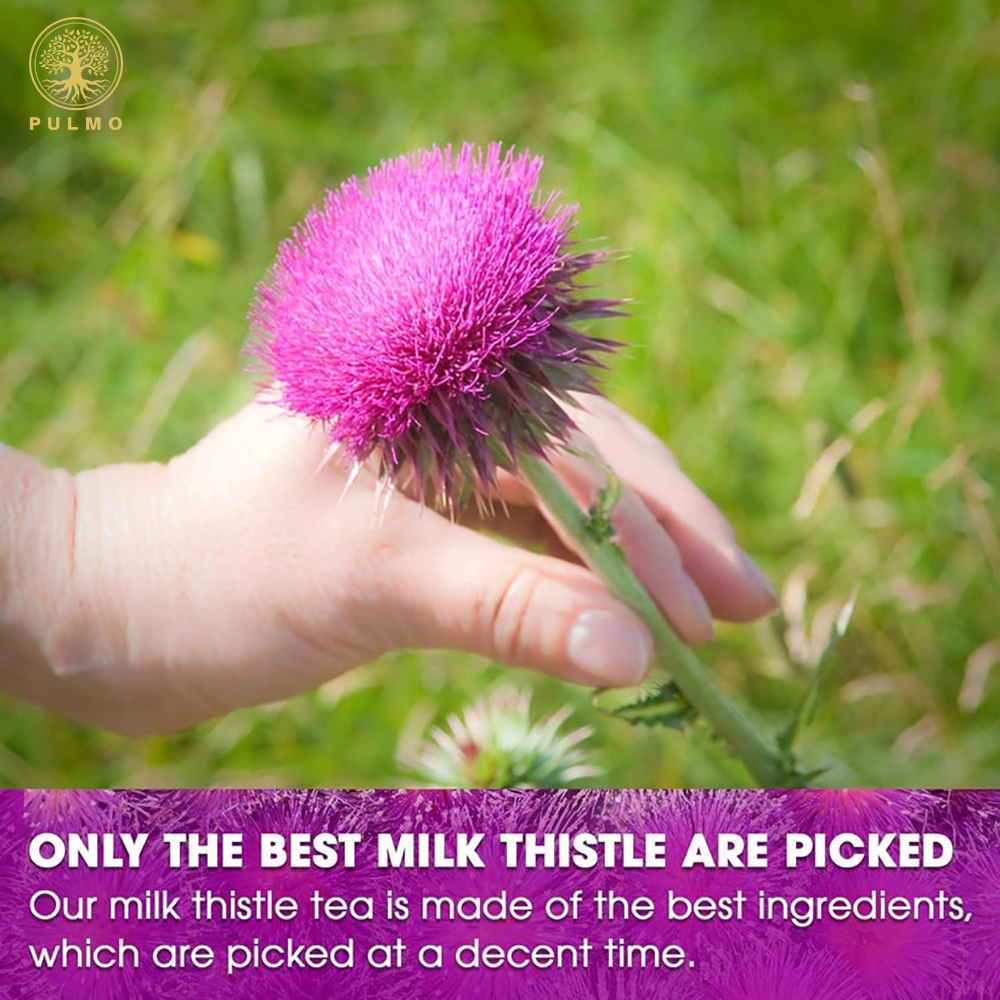 Pure Milk Thistle Tea – No Sugar, No Caffeine, No Additives