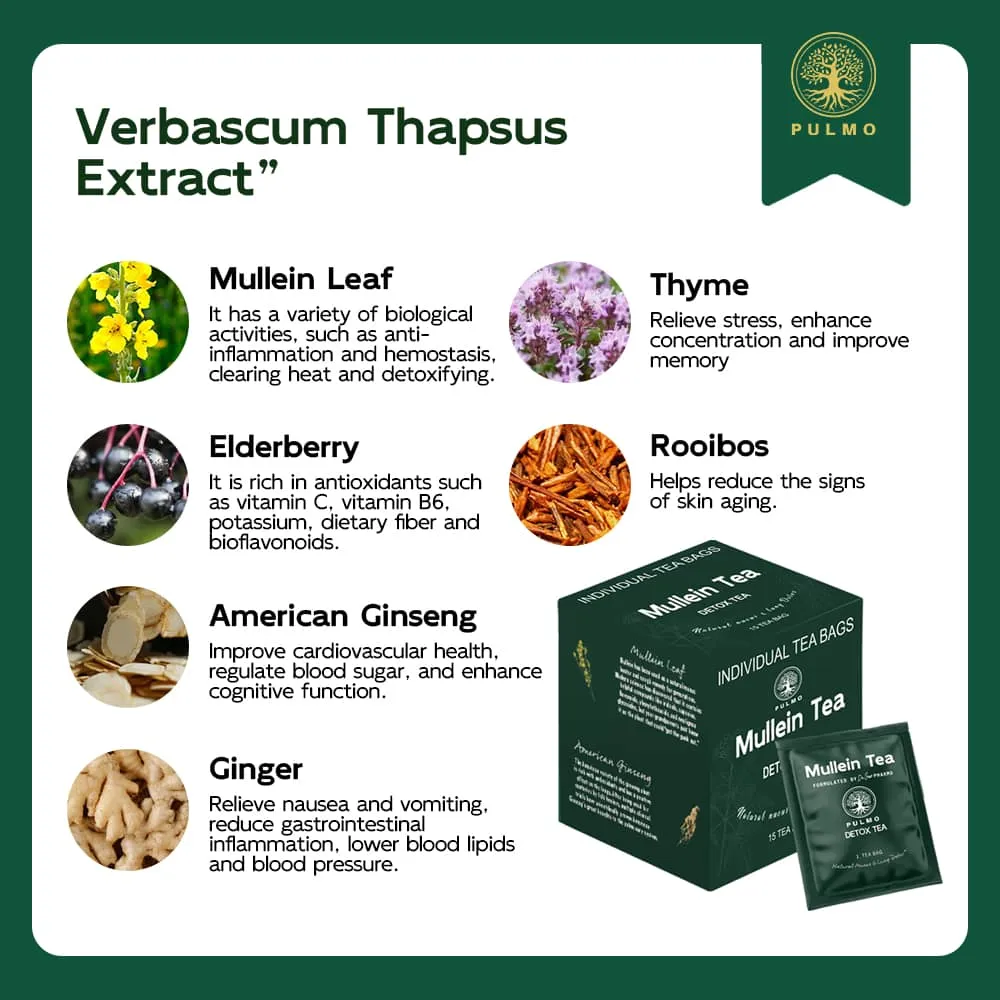 Pulmo® Mullein Tea