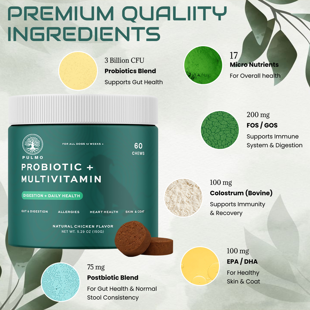 Probiotic Chews For Dog