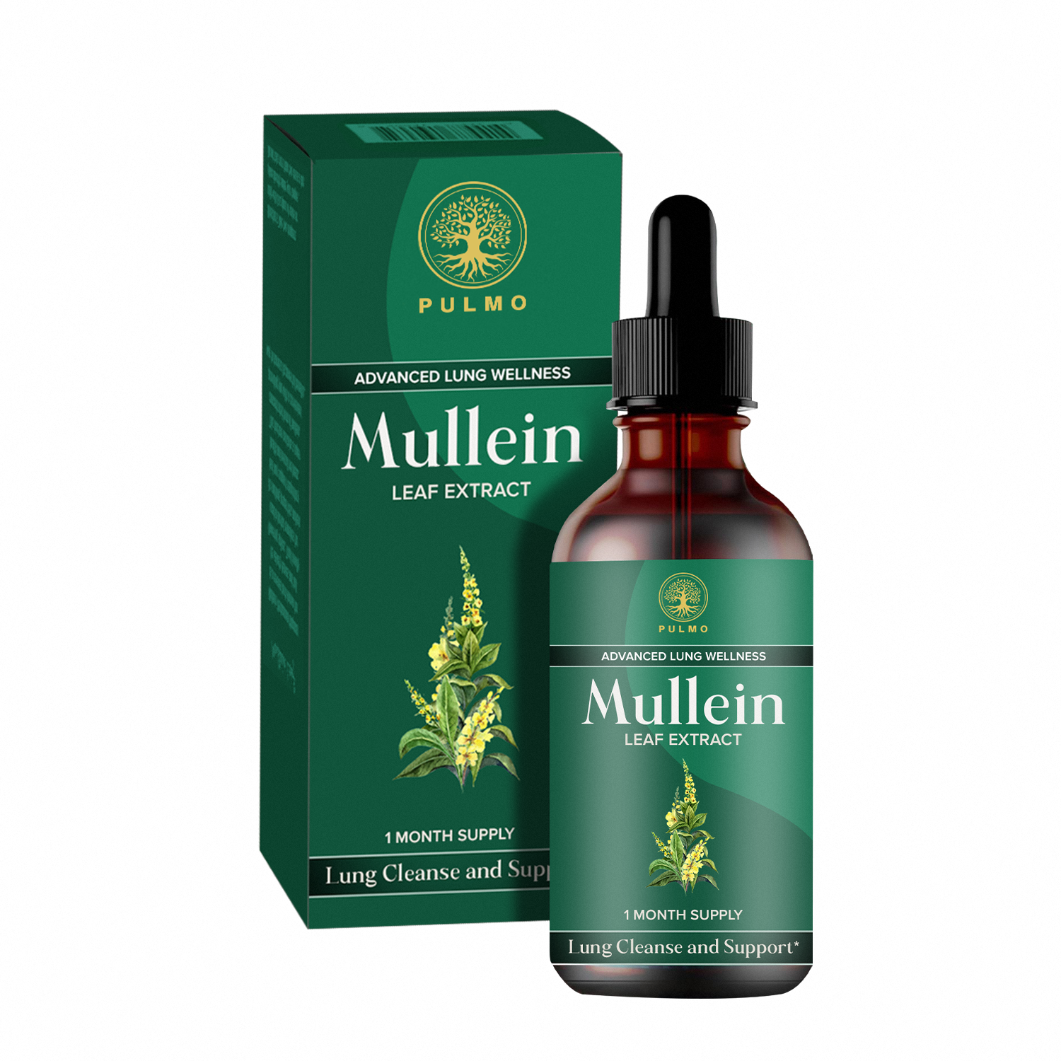 PULMO™ - Mullein Leaf Extract