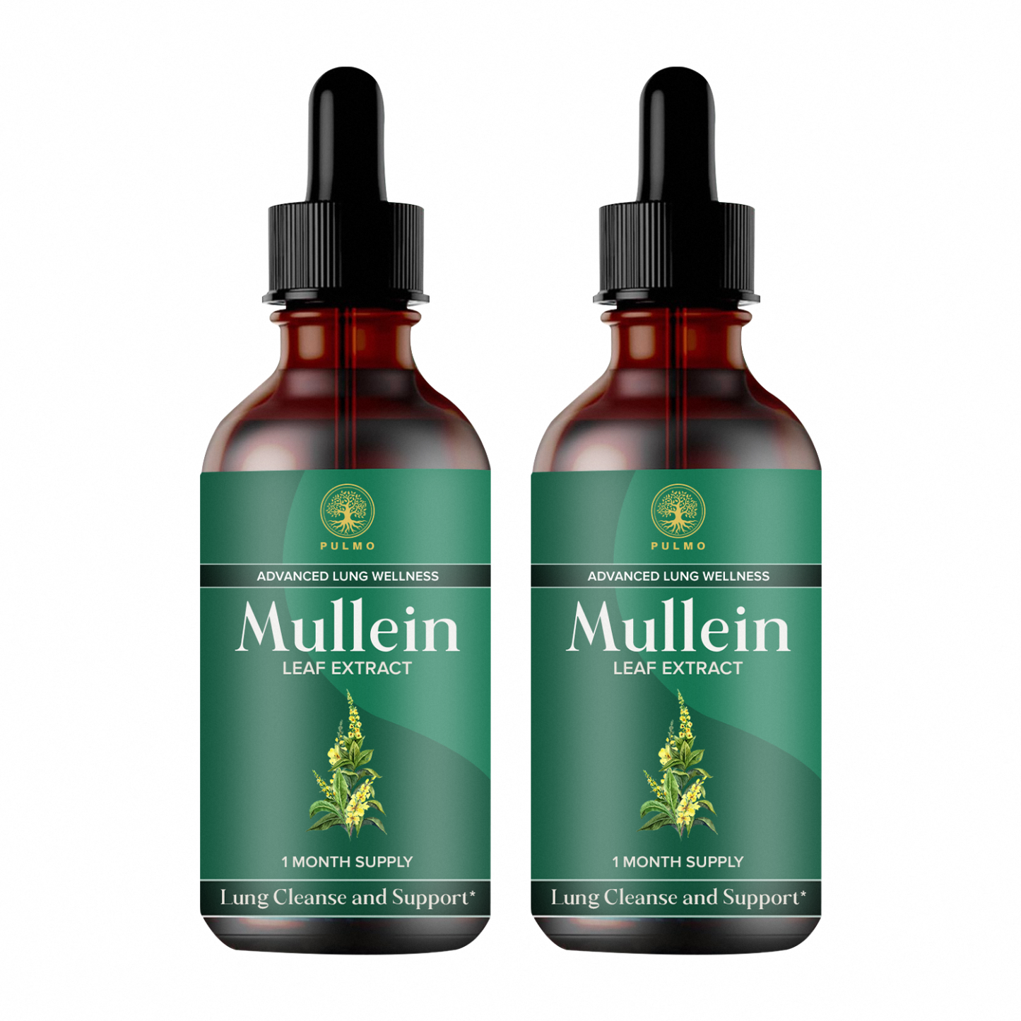 PULMO™ - Mullein Leaf Extract