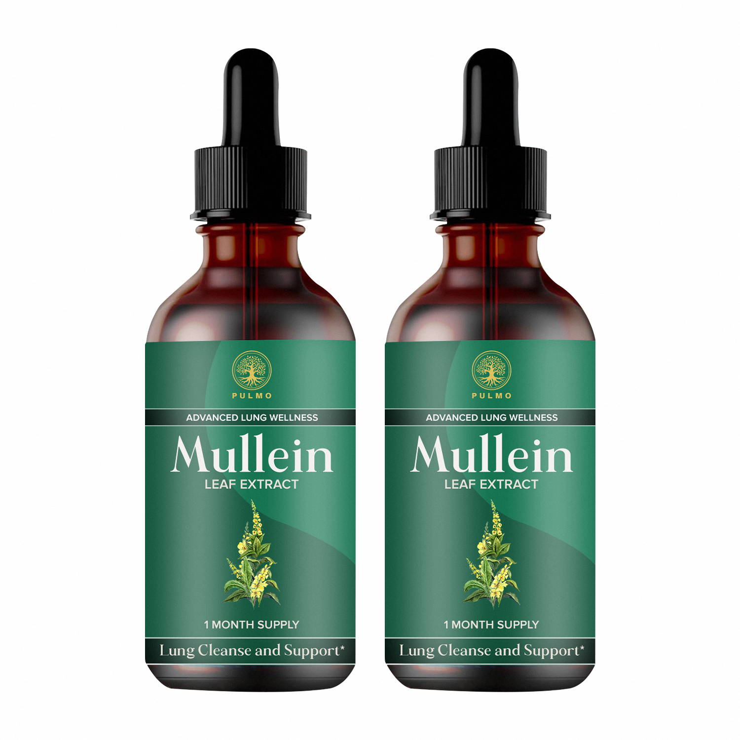 PULMO™ - Mullein Leaf Extract