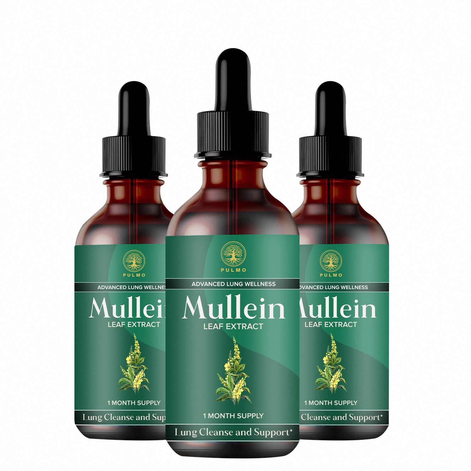 PULMO™ - Mullein Leaf Extract
