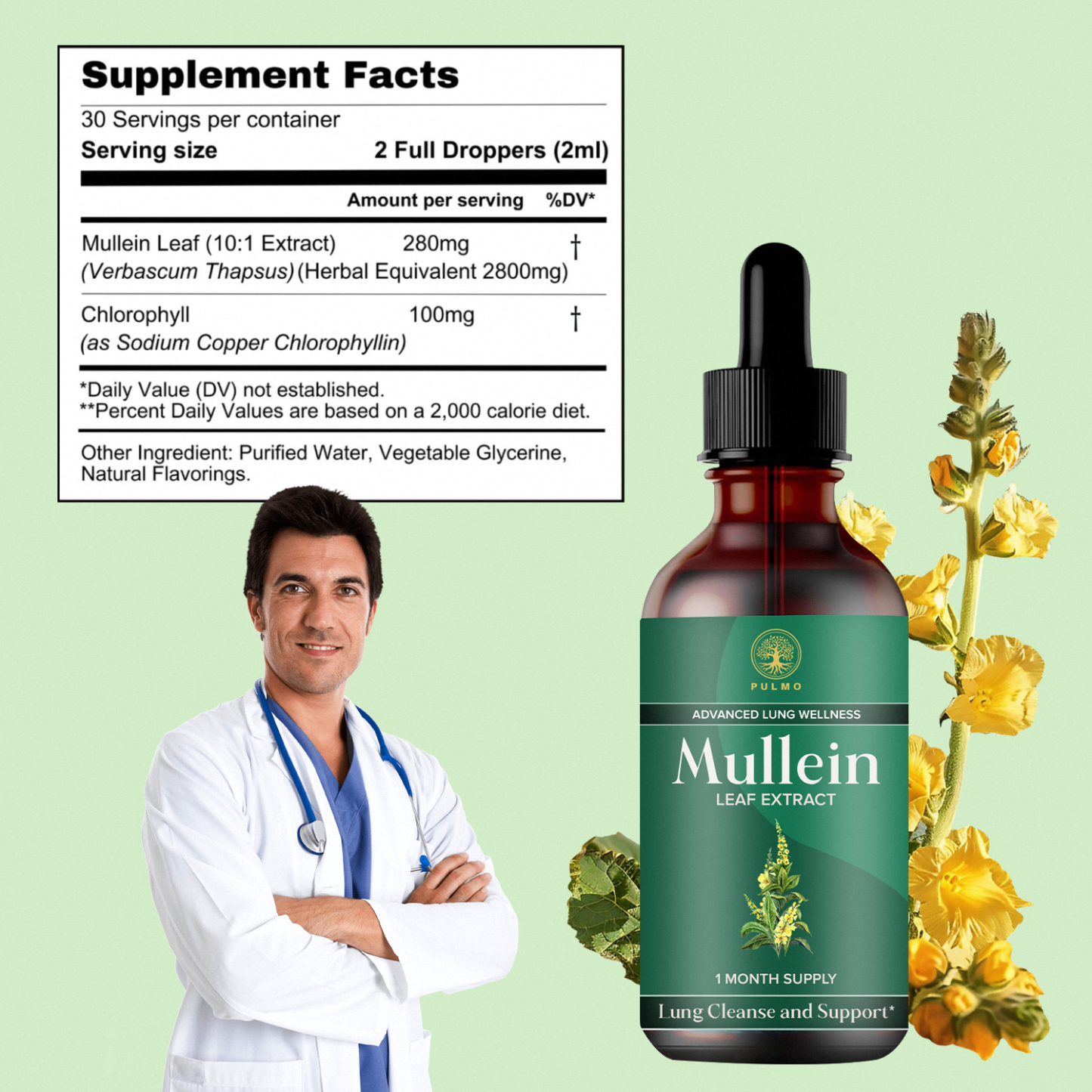 PULMO™ - Mullein Leaf Extract