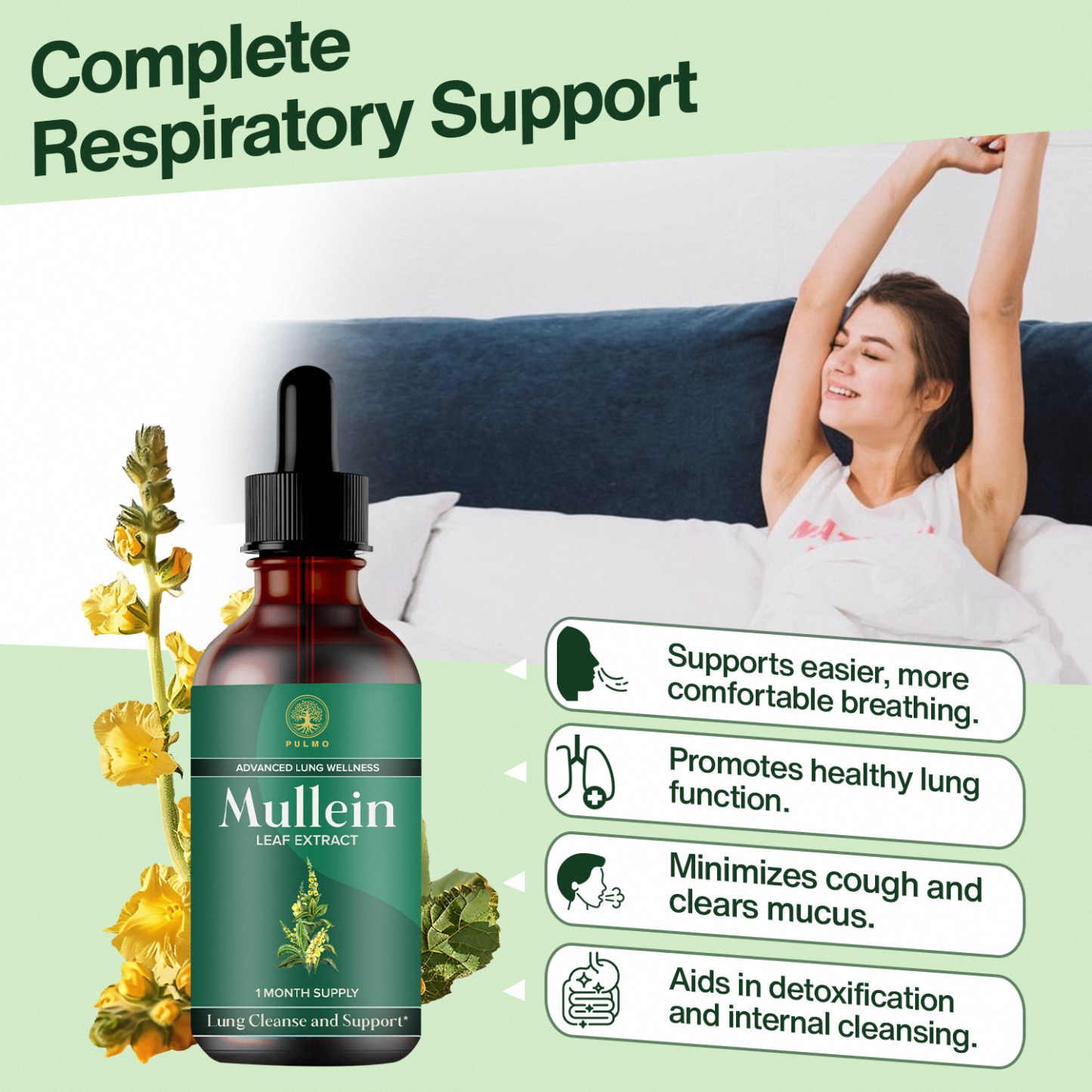 PULMO™ - Mullein Leaf Extract