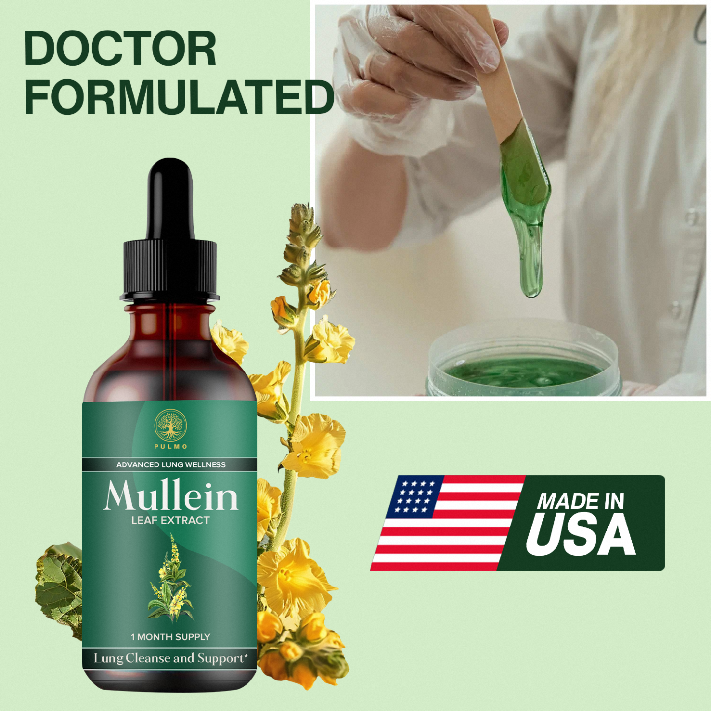 PULMO™ - Mullein Leaf Extract