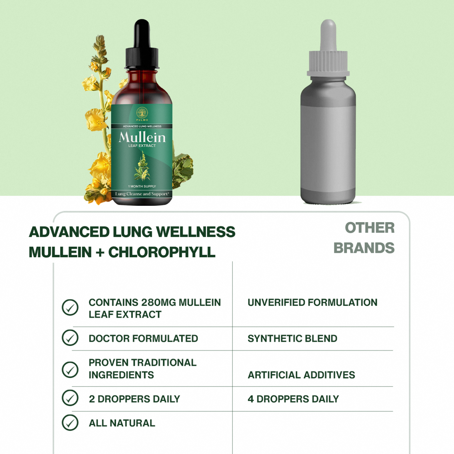 PULMO™ - Mullein Leaf Extract