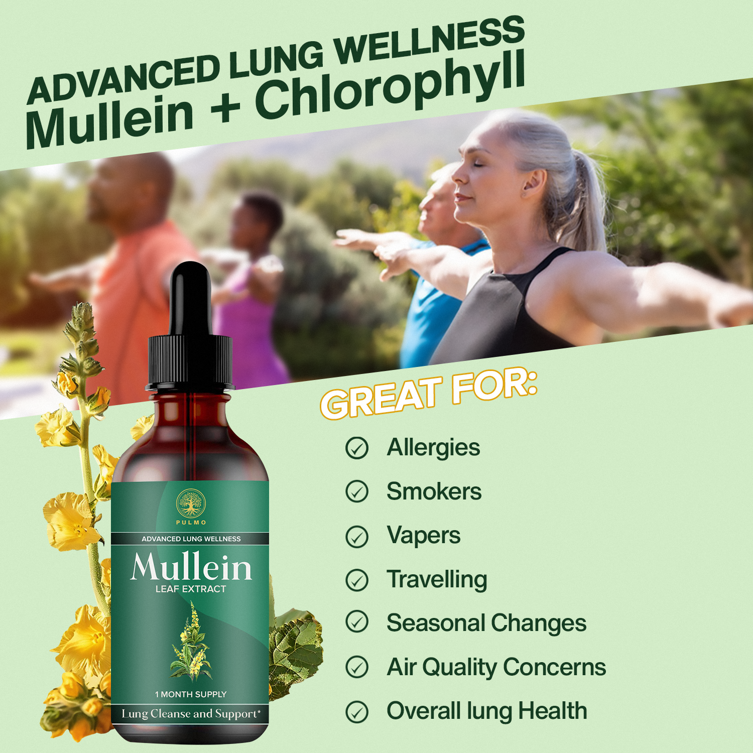 PULMO™ - Mullein Leaf Extract