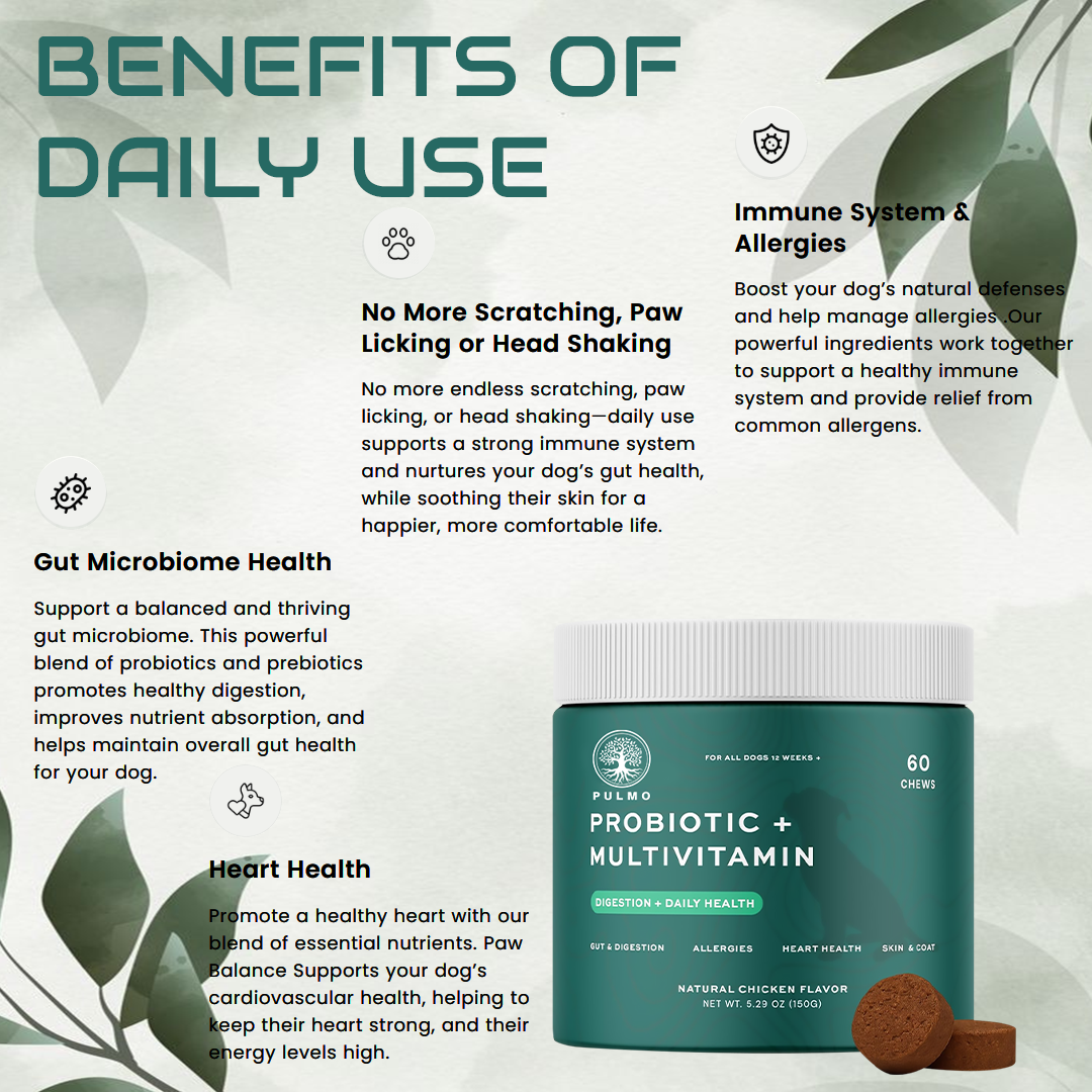 Probiotic Chews For Dog