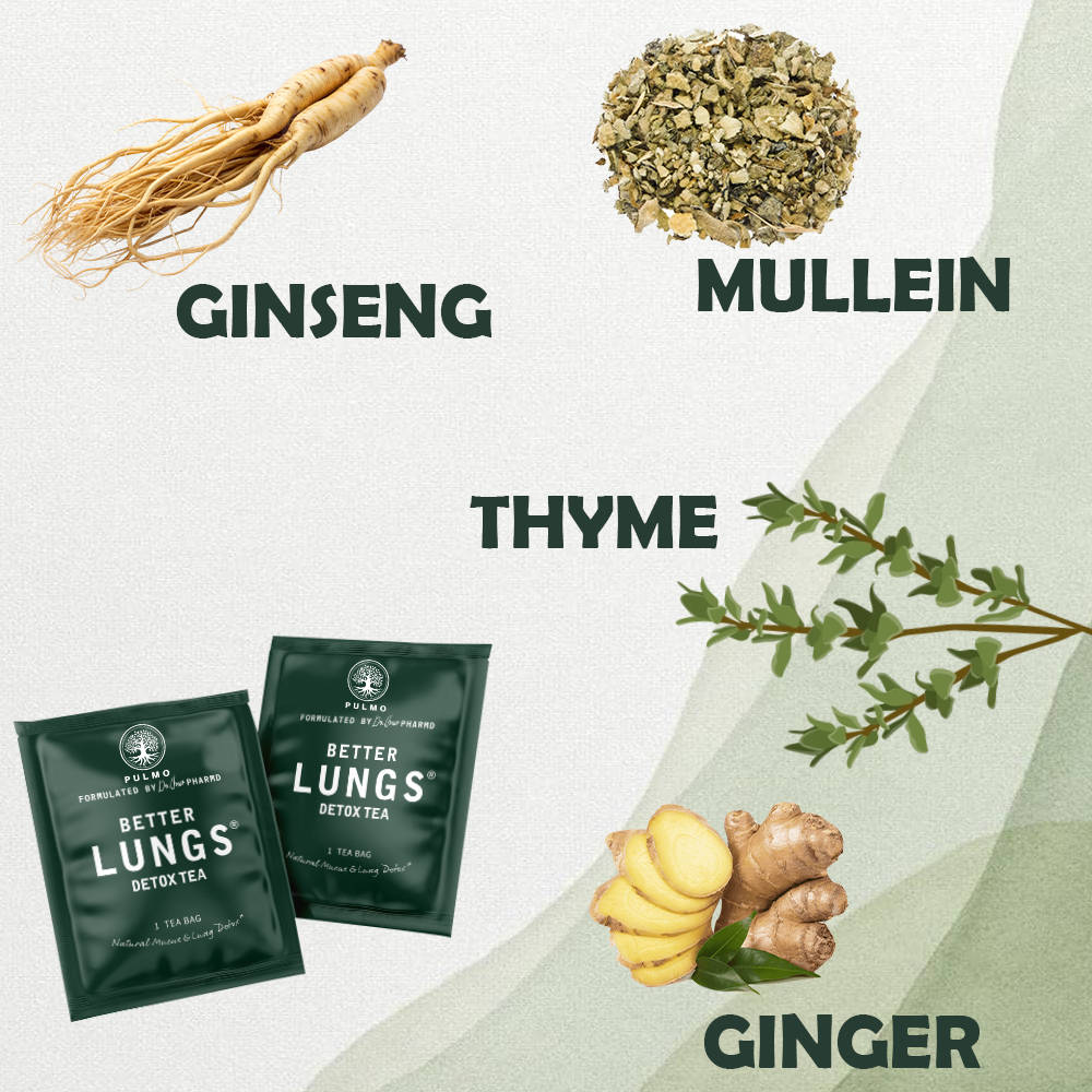 Mullein Leaf _ Better Lungs Detox Tea