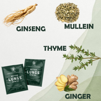 Mullein Leaf _ Better Lungs Detox Tea