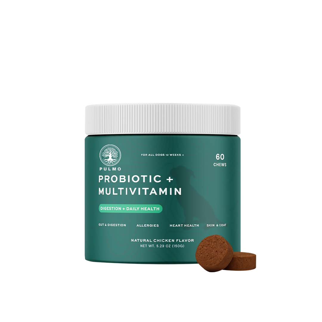 Probiotic Chews For Dog