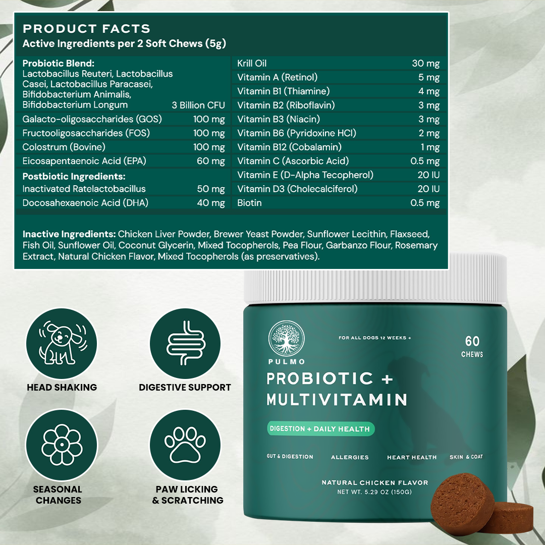 Probiotic Chews For Dog