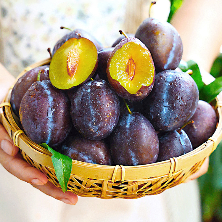 Blue Honey Prune Seeds