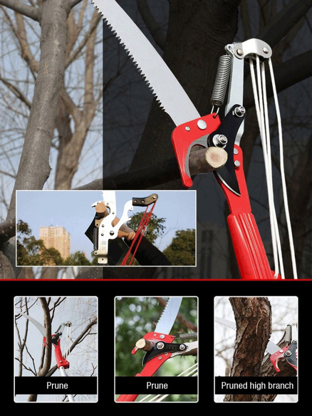 Multifunctional pruning shears
