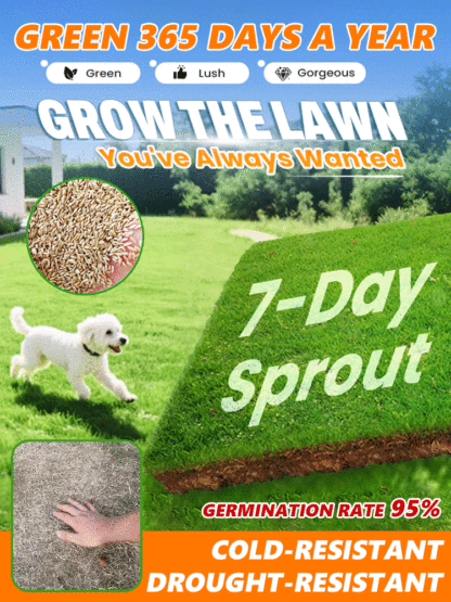 🌿The ultimate lawn seed! Green in 7 days, cold-resistant, drought-resistant, and trampling-resistant