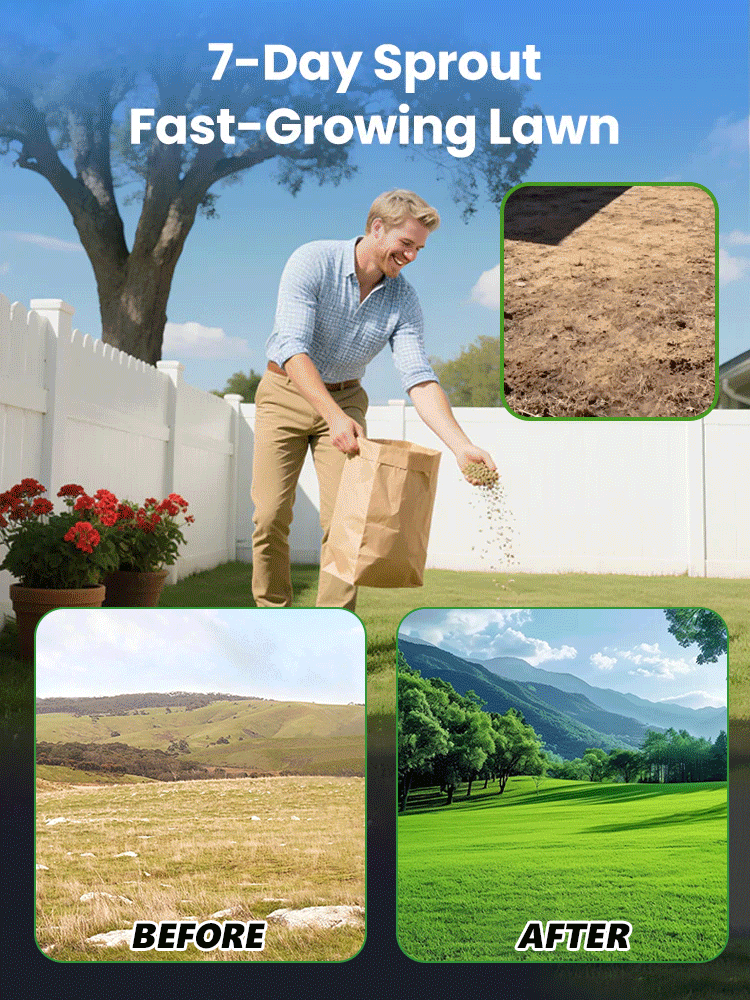🌿The ultimate lawn seed! Green in 7 days, cold-resistant, drought-resistant, and trampling-resistant