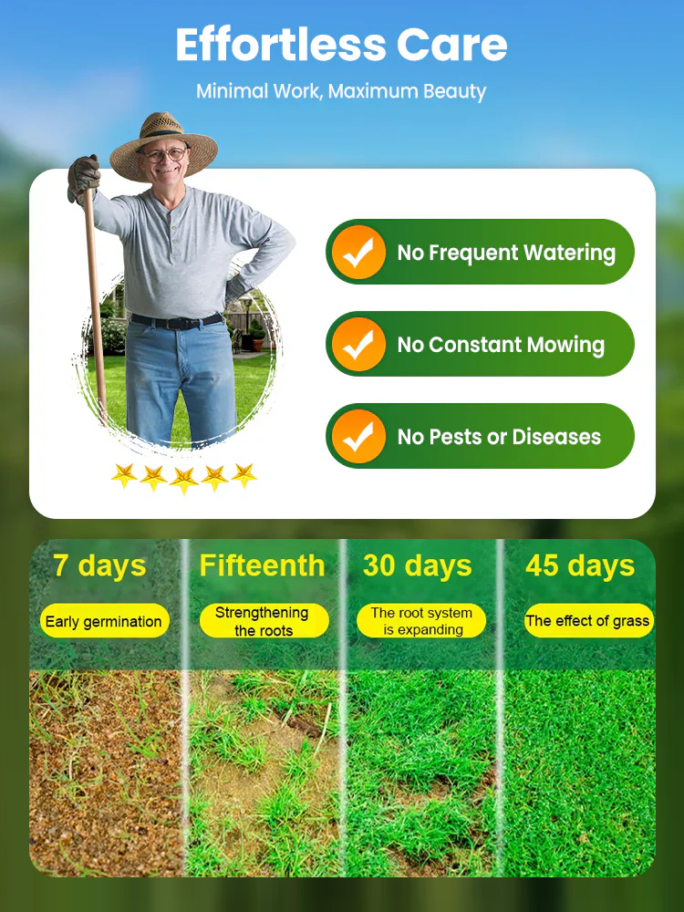 🌿The ultimate lawn seed! Green in 7 days, cold-resistant, drought-resistant, and trampling-resistant