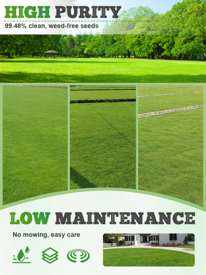 🌿The ultimate lawn seed! Green in 7 days, cold-resistant, drought-resistant, and trampling-resistant