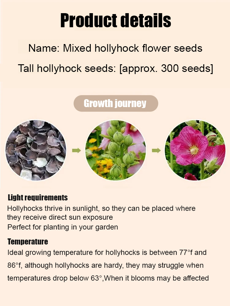 【🎨Buy One Get One Free】Multi-colored Hollyhock Seeds🌺 Single Seeds with Abundant Blooms, 300 Seeds, High Germination Rate, Buy 1 Get 1 Free, Hassle-Free Returns and Exchanges✅